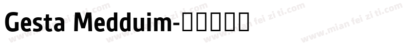 Gesta Medduim字体转换